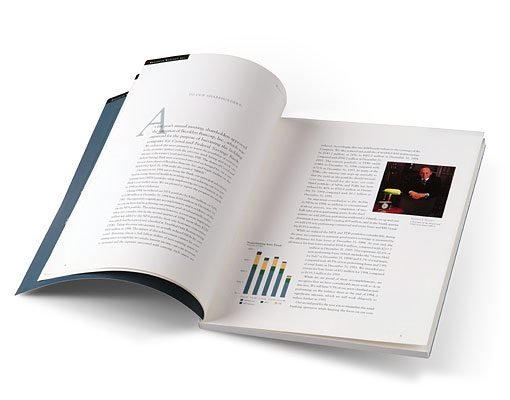 Brooklyn Bancorp Inc. Annual Report interior spread